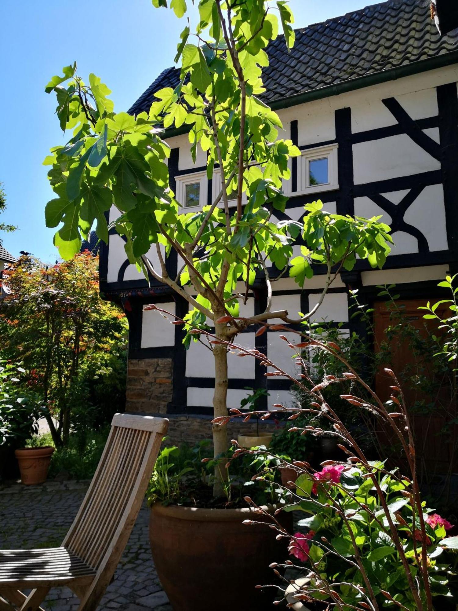 Fuenf Giebel Eck In Der Freiheit Am Ruhrtalradweg Hotel Wetter  Exterior photo